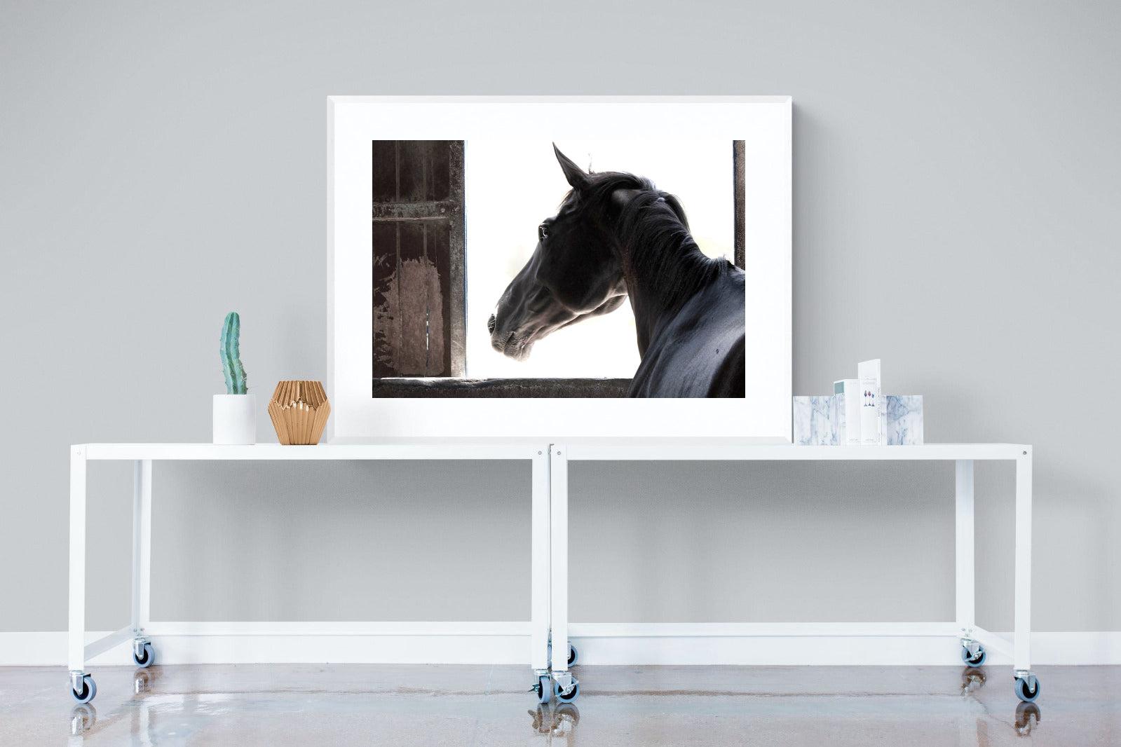 Racehorse-Wall_Art-120 x 90cm-Framed Print-White-Pixalot
