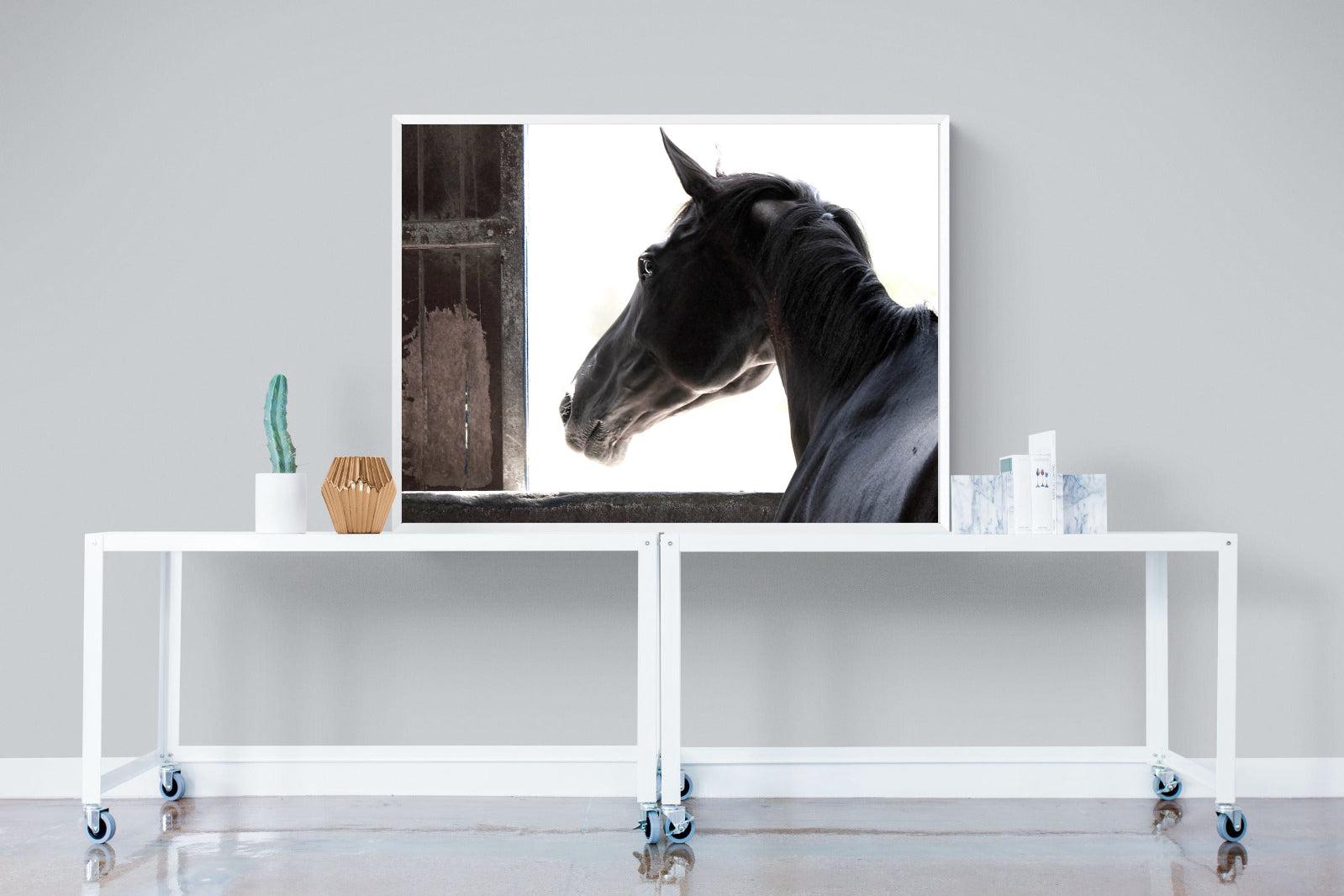Racehorse-Wall_Art-120 x 90cm-Mounted Canvas-White-Pixalot