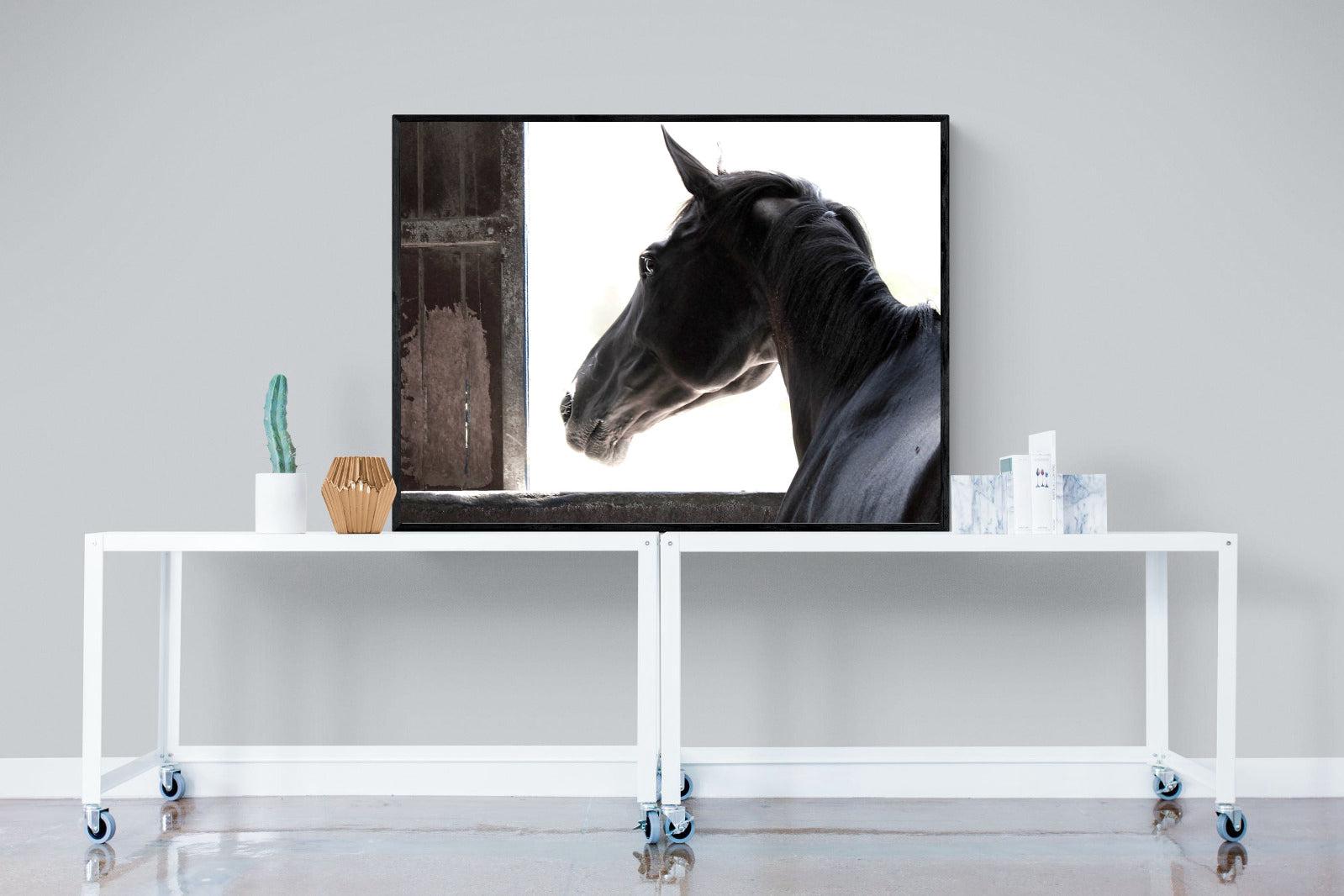 Racehorse-Wall_Art-120 x 90cm-Mounted Canvas-Black-Pixalot