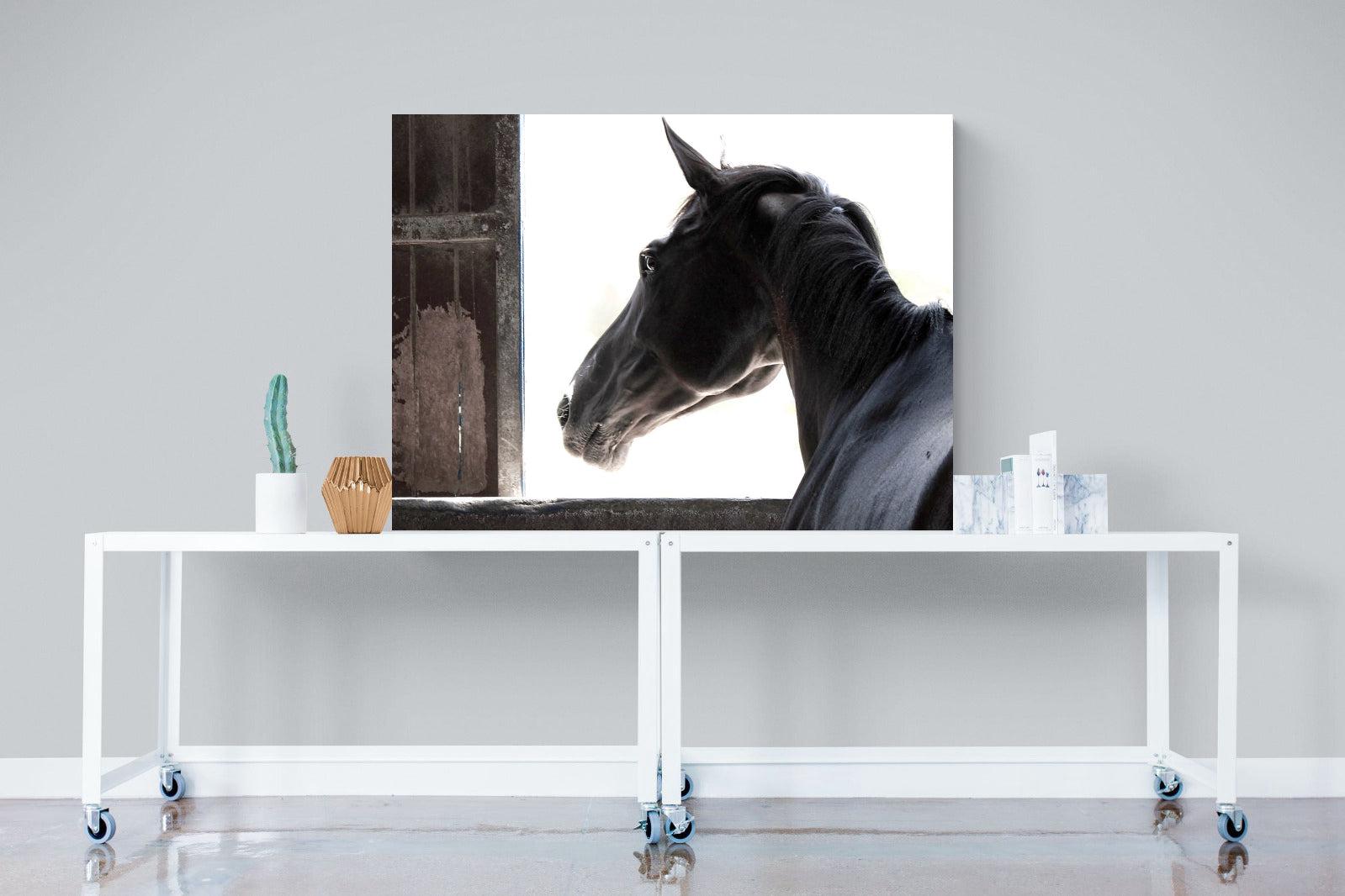 Racehorse-Wall_Art-120 x 90cm-Mounted Canvas-No Frame-Pixalot