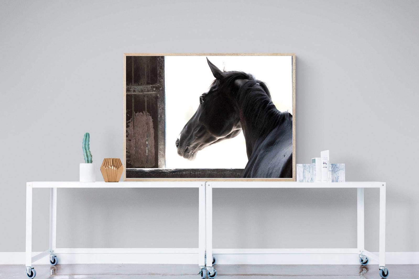 Racehorse-Wall_Art-120 x 90cm-Mounted Canvas-Wood-Pixalot