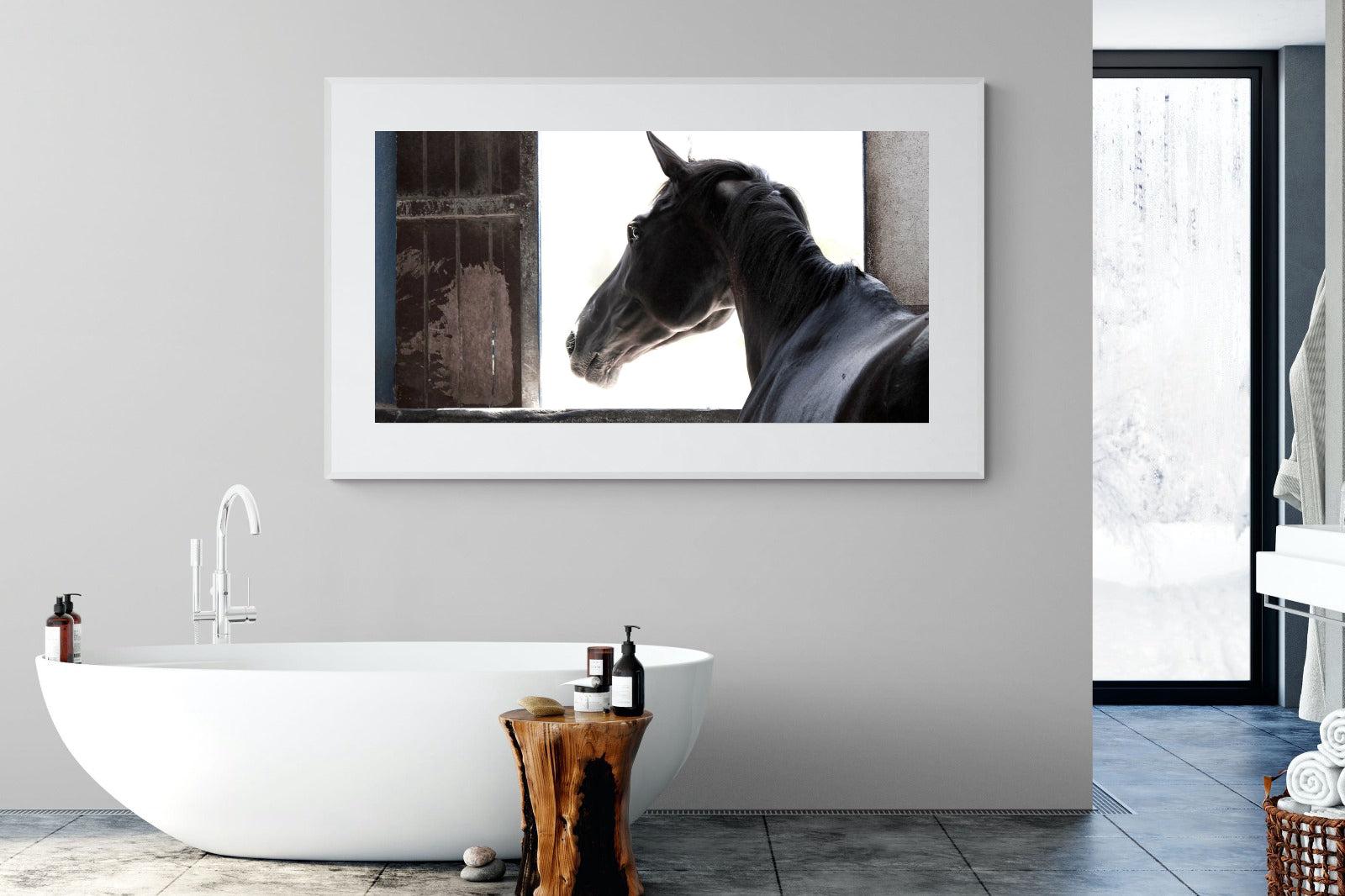 Racehorse-Wall_Art-180 x 110cm-Framed Print-White-Pixalot