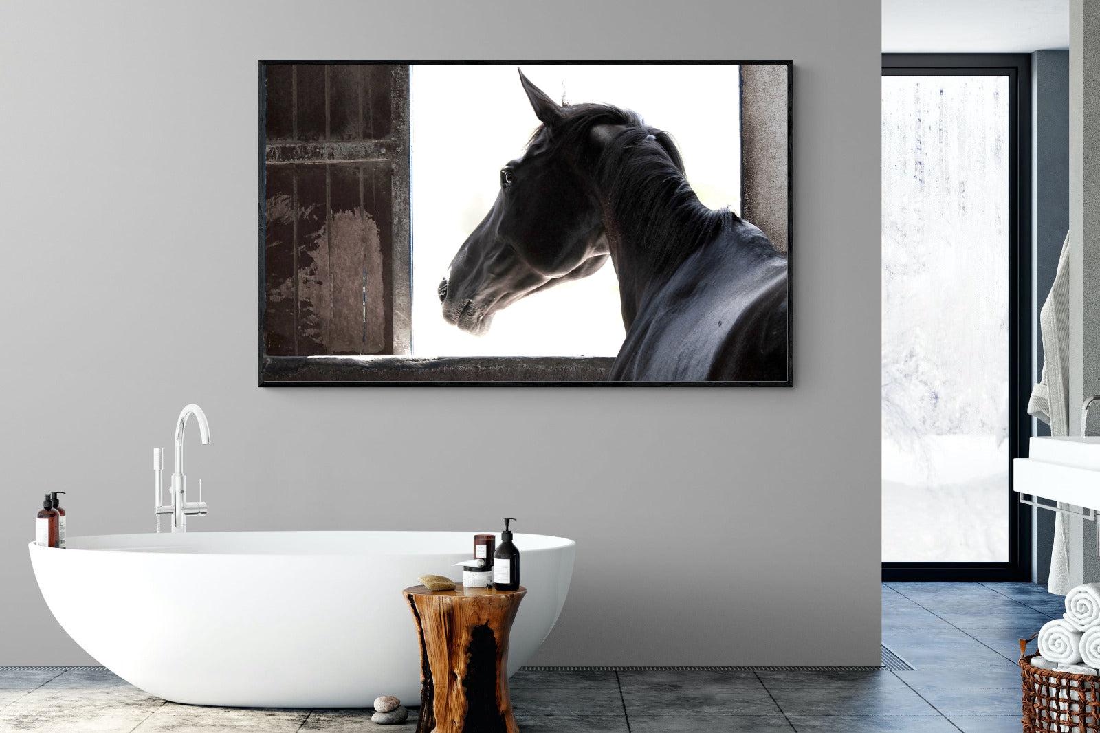 Racehorse-Wall_Art-180 x 110cm-Mounted Canvas-Black-Pixalot