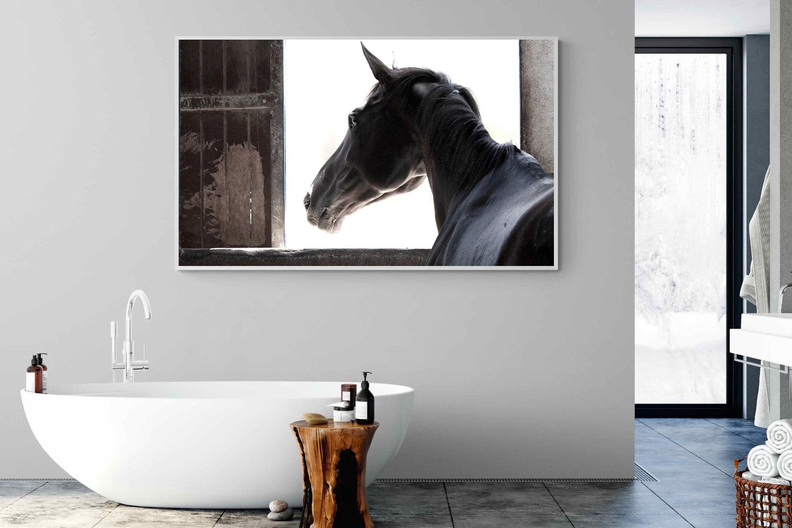 Racehorse-Wall_Art-180 x 110cm-Mounted Canvas-White-Pixalot