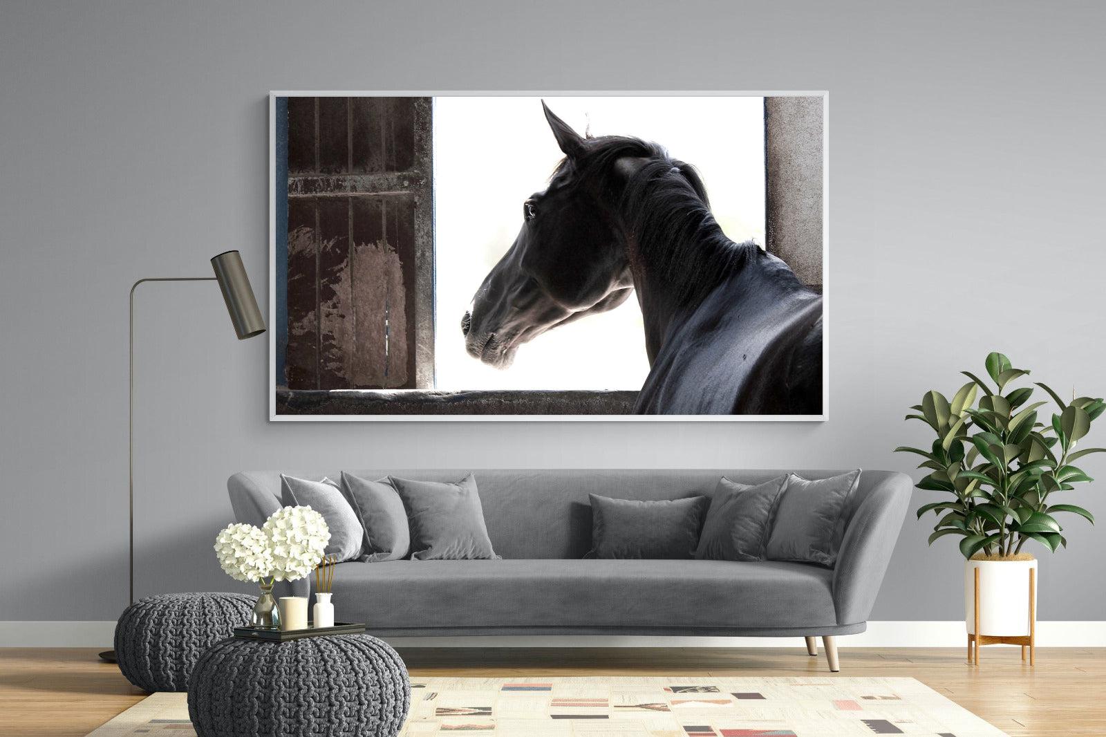 Racehorse-Wall_Art-220 x 130cm-Mounted Canvas-White-Pixalot