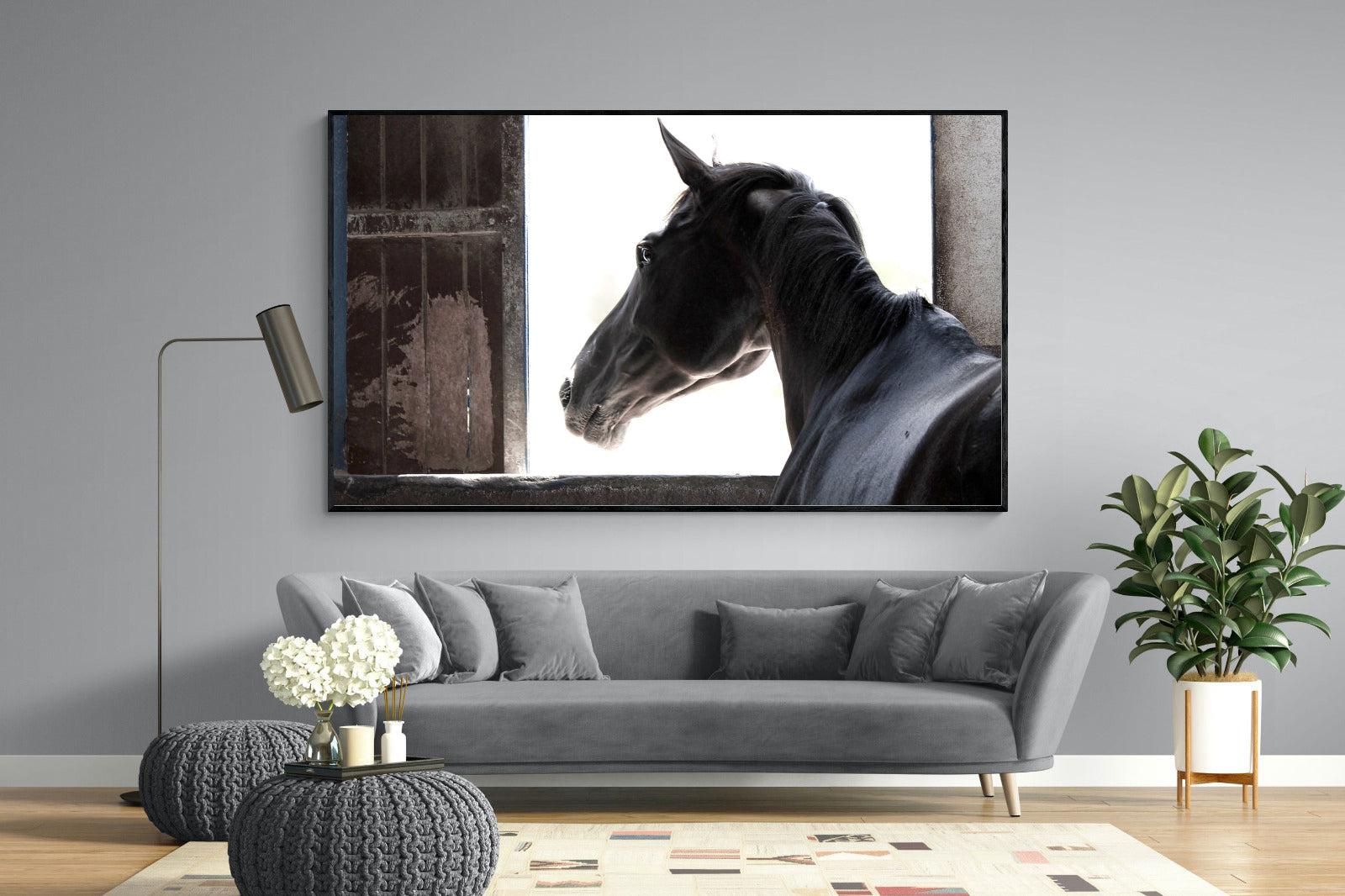 Racehorse-Wall_Art-220 x 130cm-Mounted Canvas-Black-Pixalot