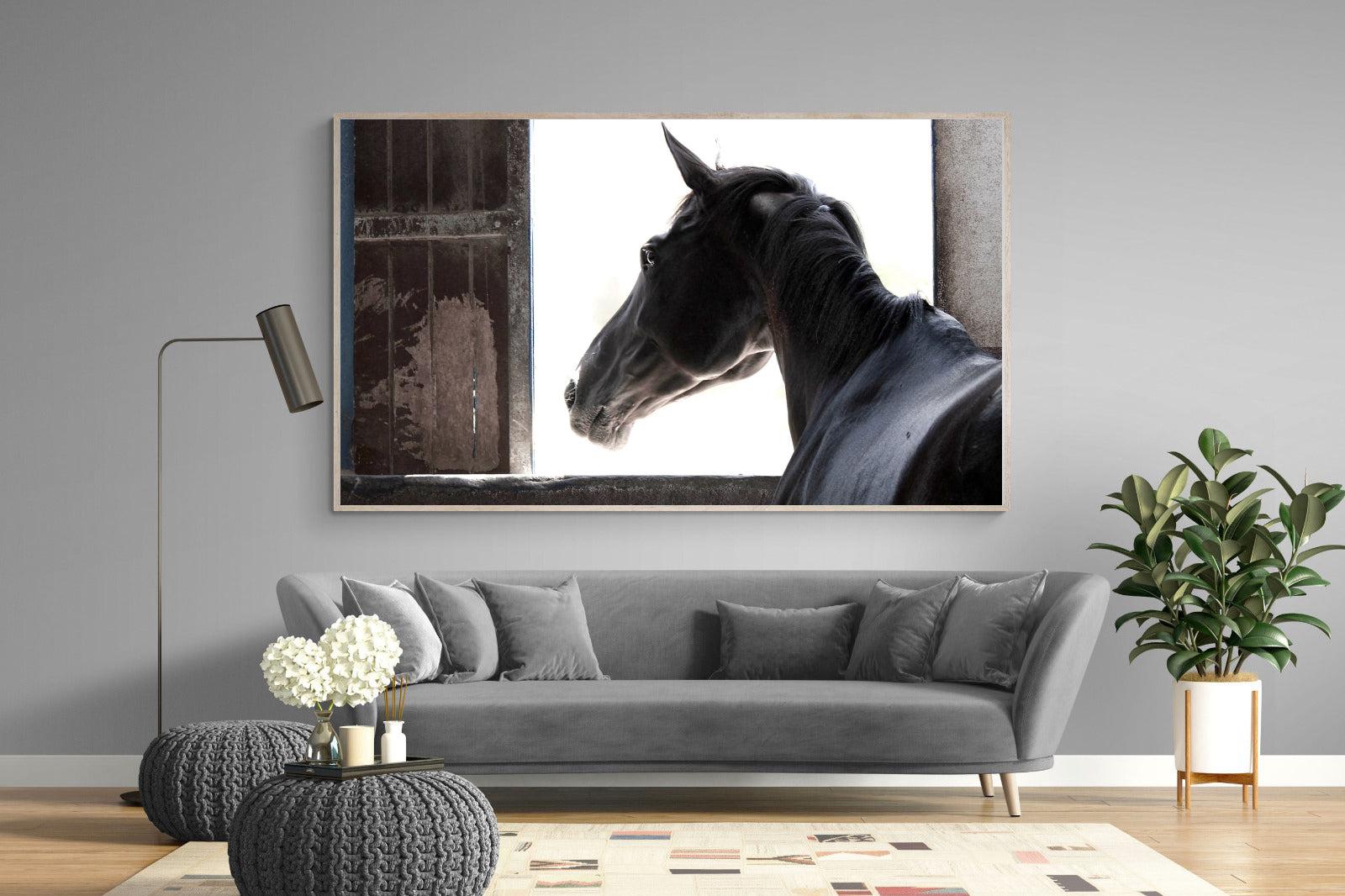 Racehorse-Wall_Art-220 x 130cm-Mounted Canvas-Wood-Pixalot