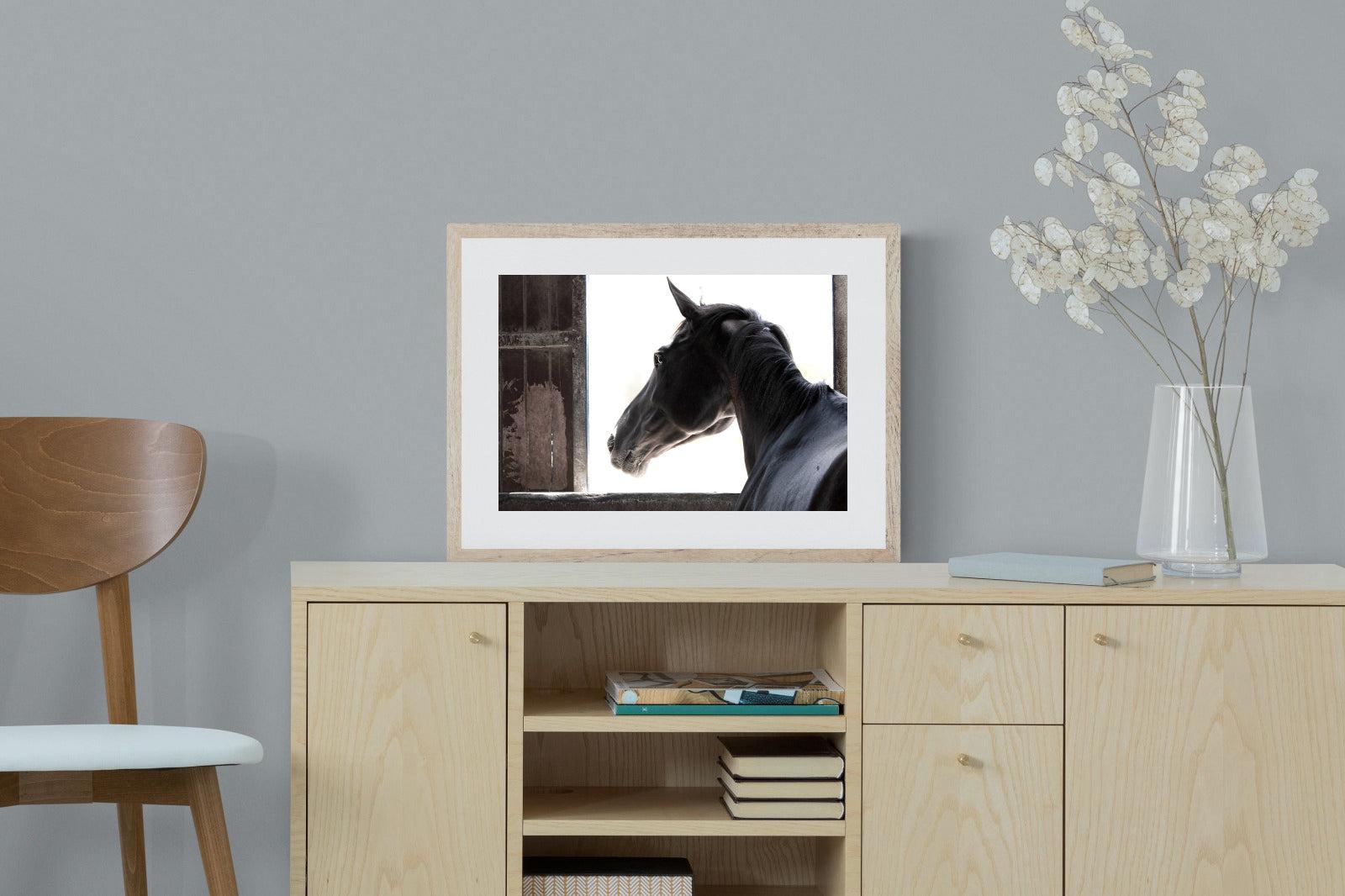 Racehorse-Wall_Art-60 x 45cm-Framed Print-Wood-Pixalot
