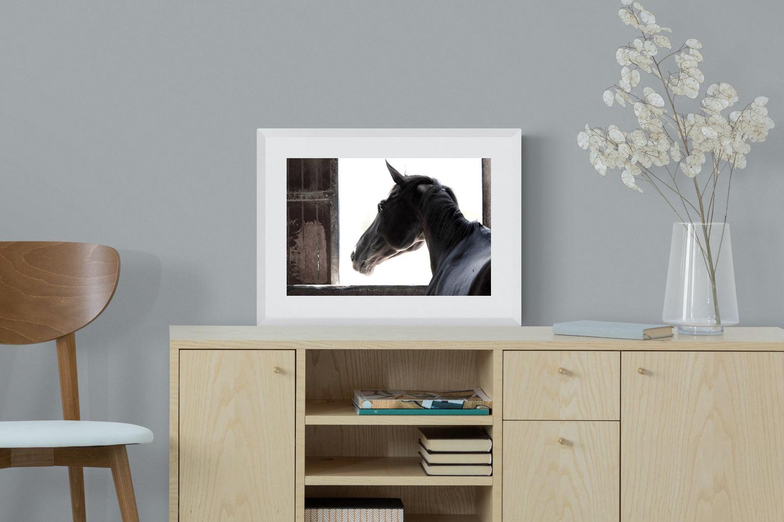 Racehorse-Wall_Art-60 x 45cm-Framed Print-White-Pixalot