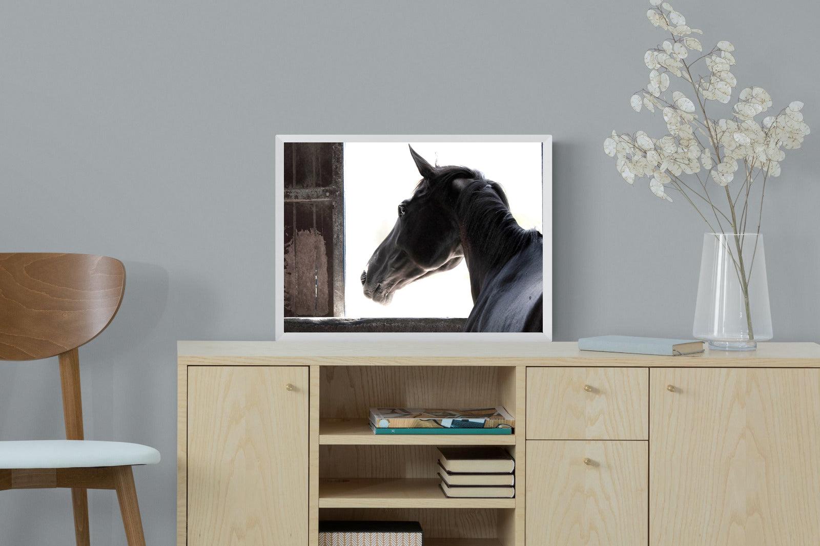 Racehorse-Wall_Art-60 x 45cm-Mounted Canvas-White-Pixalot