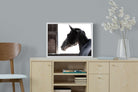 Racehorse-Wall_Art-60 x 45cm-Mounted Canvas-White-Pixalot
