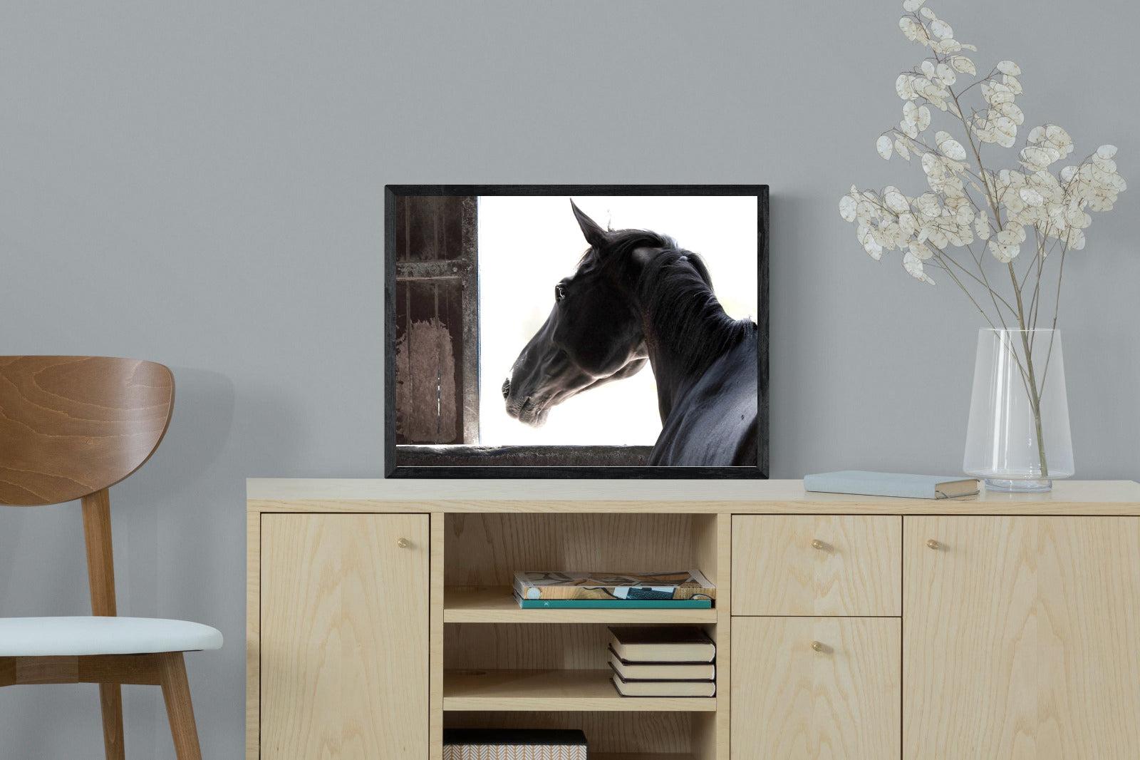 Racehorse-Wall_Art-60 x 45cm-Mounted Canvas-Black-Pixalot