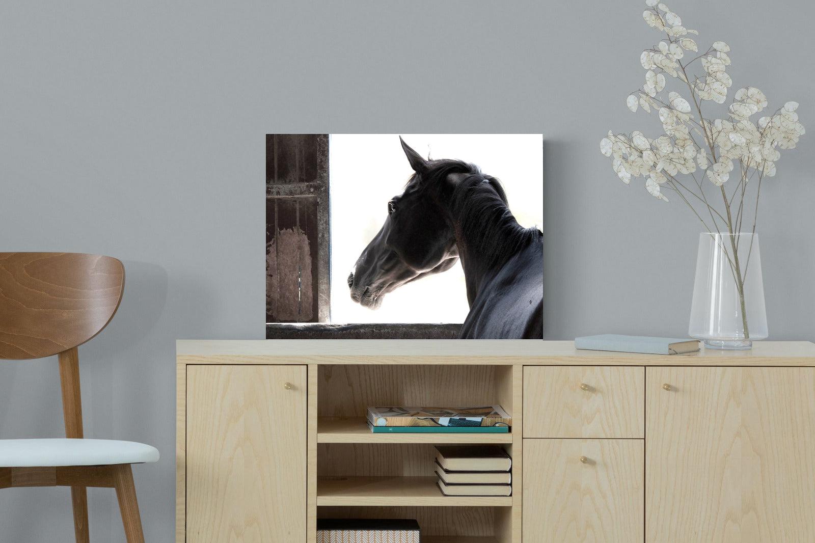 Racehorse-Wall_Art-60 x 45cm-Mounted Canvas-No Frame-Pixalot