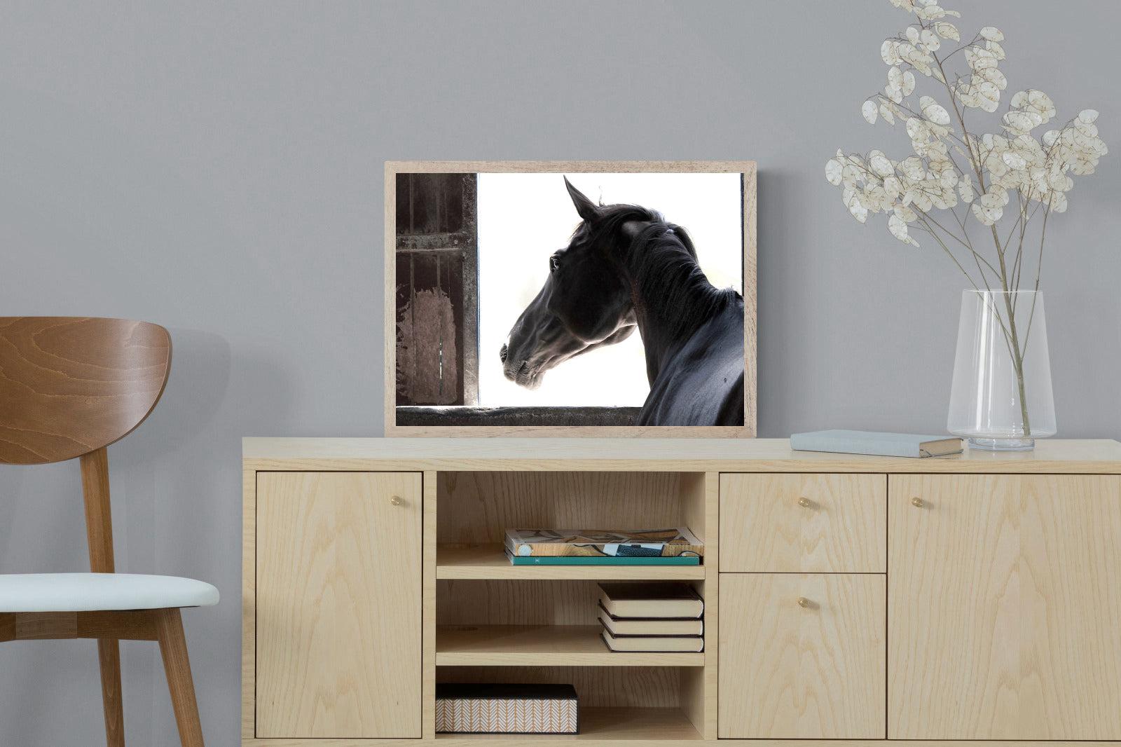 Racehorse-Wall_Art-60 x 45cm-Mounted Canvas-Wood-Pixalot