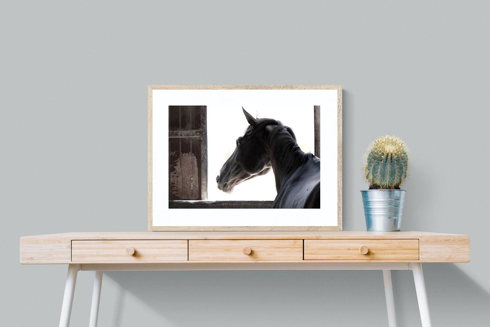 Racehorse-Wall_Art-80 x 60cm-Framed Print-Wood-Pixalot