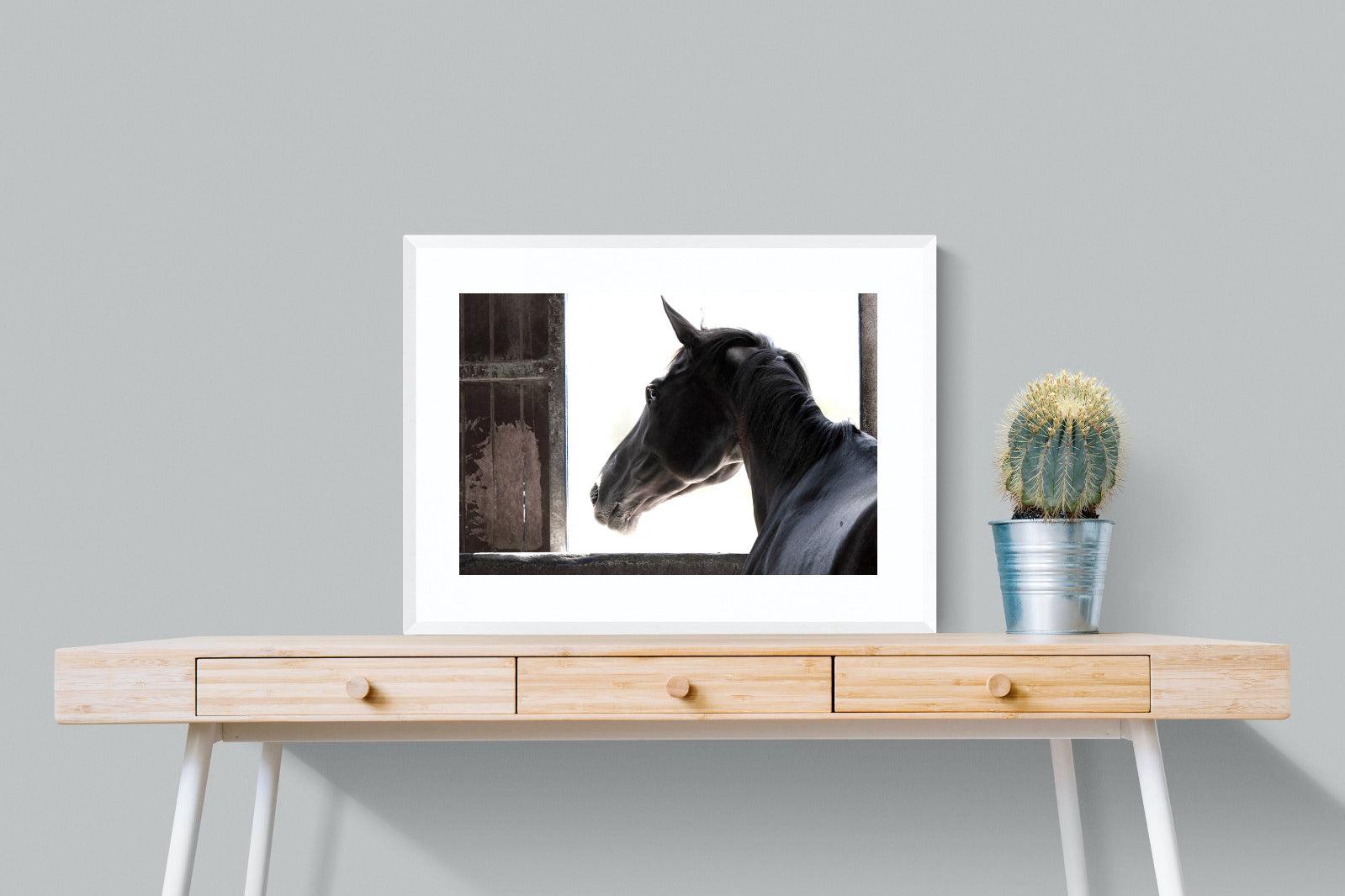 Racehorse-Wall_Art-80 x 60cm-Framed Print-White-Pixalot
