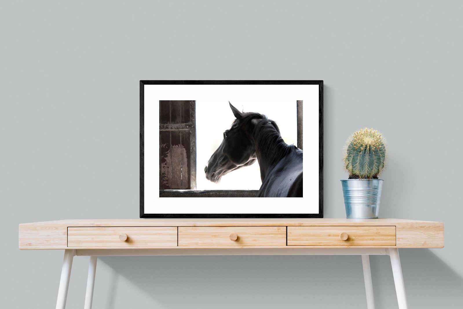 Racehorse-Wall_Art-80 x 60cm-Framed Print-Black-Pixalot