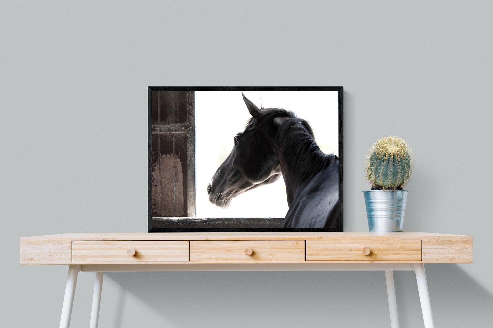 Racehorse-Wall_Art-80 x 60cm-Mounted Canvas-Black-Pixalot