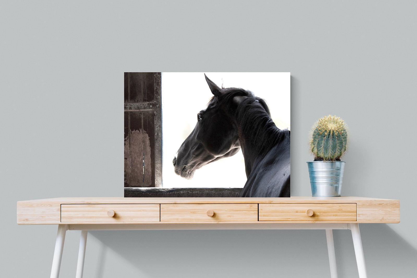 Racehorse-Wall_Art-80 x 60cm-Mounted Canvas-No Frame-Pixalot