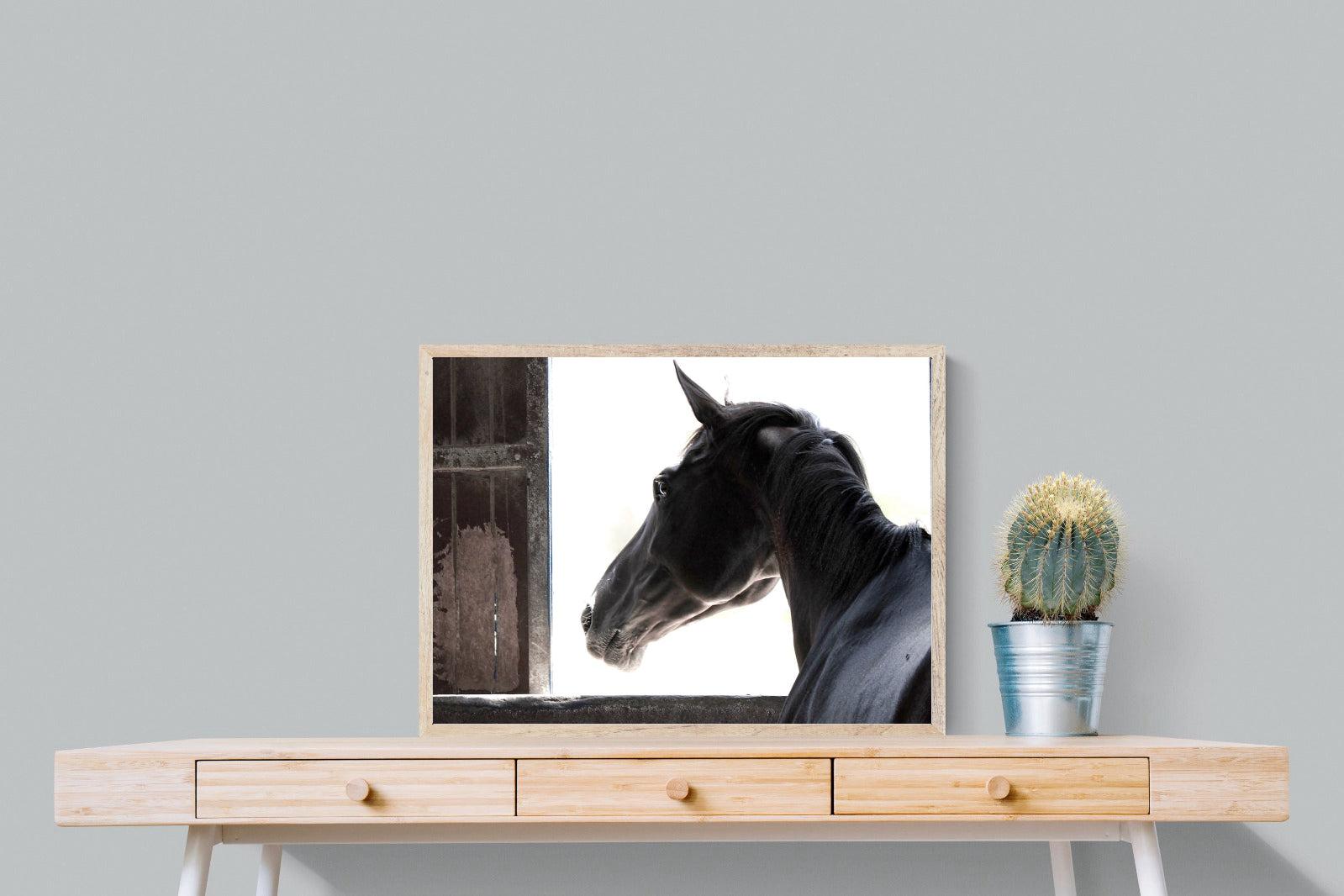 Racehorse-Wall_Art-80 x 60cm-Mounted Canvas-Wood-Pixalot