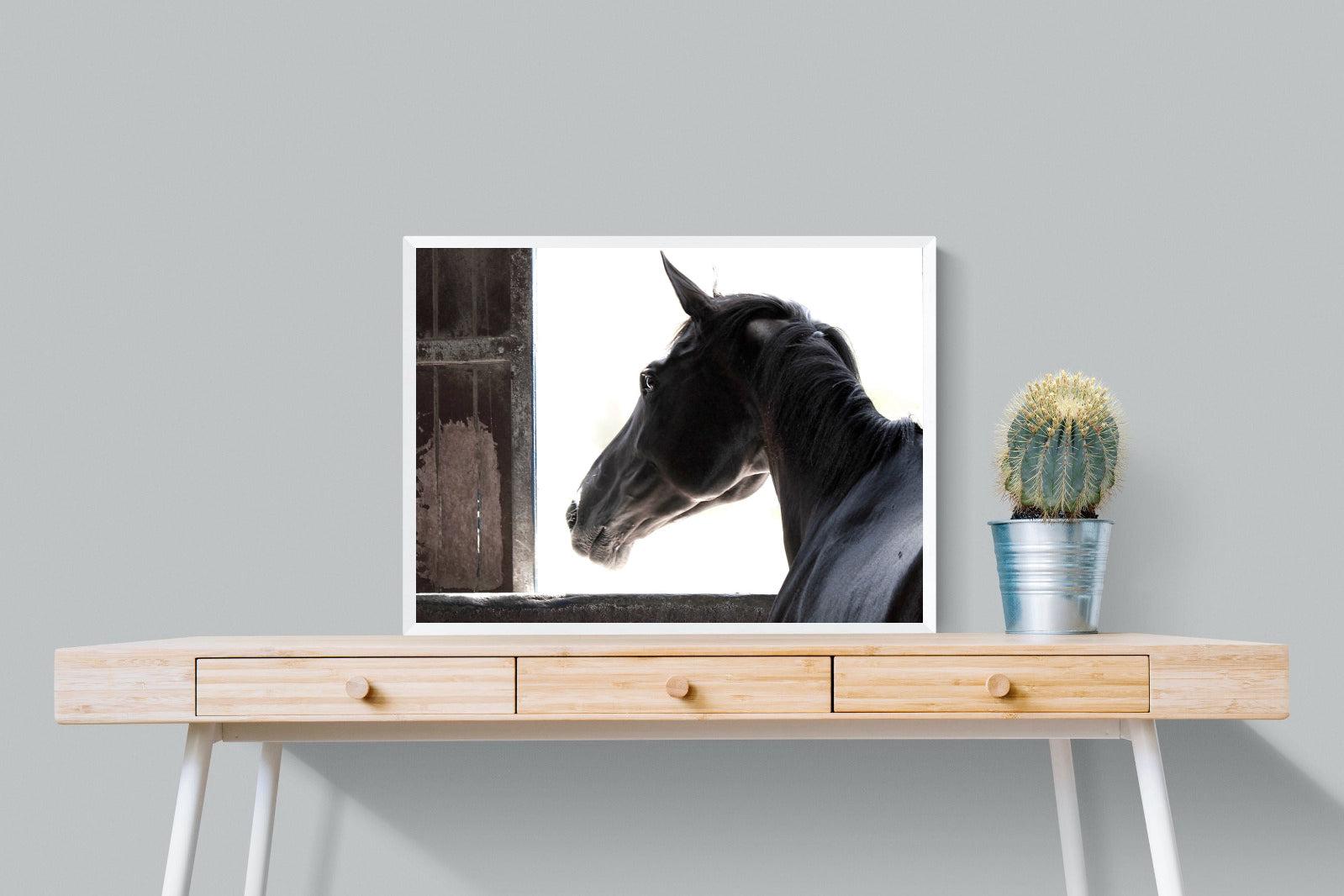 Racehorse-Wall_Art-80 x 60cm-Mounted Canvas-White-Pixalot