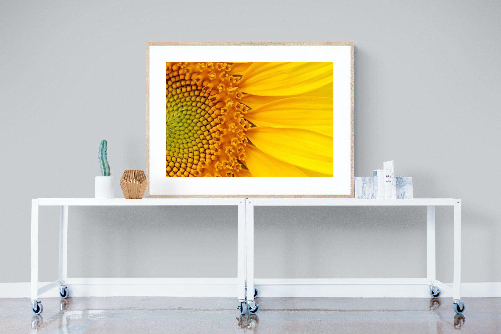 Radiant Sunflower-Wall_Art-120 x 90cm-Framed Print-Wood-Pixalot