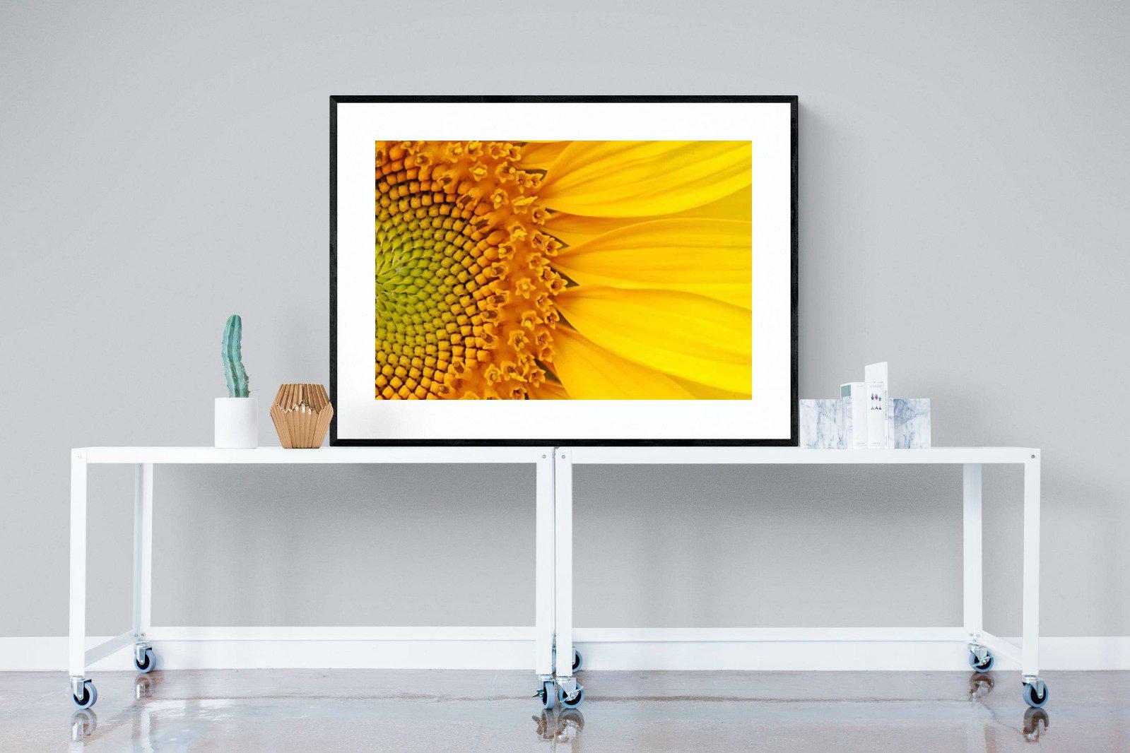 Radiant Sunflower-Wall_Art-120 x 90cm-Framed Print-Black-Pixalot