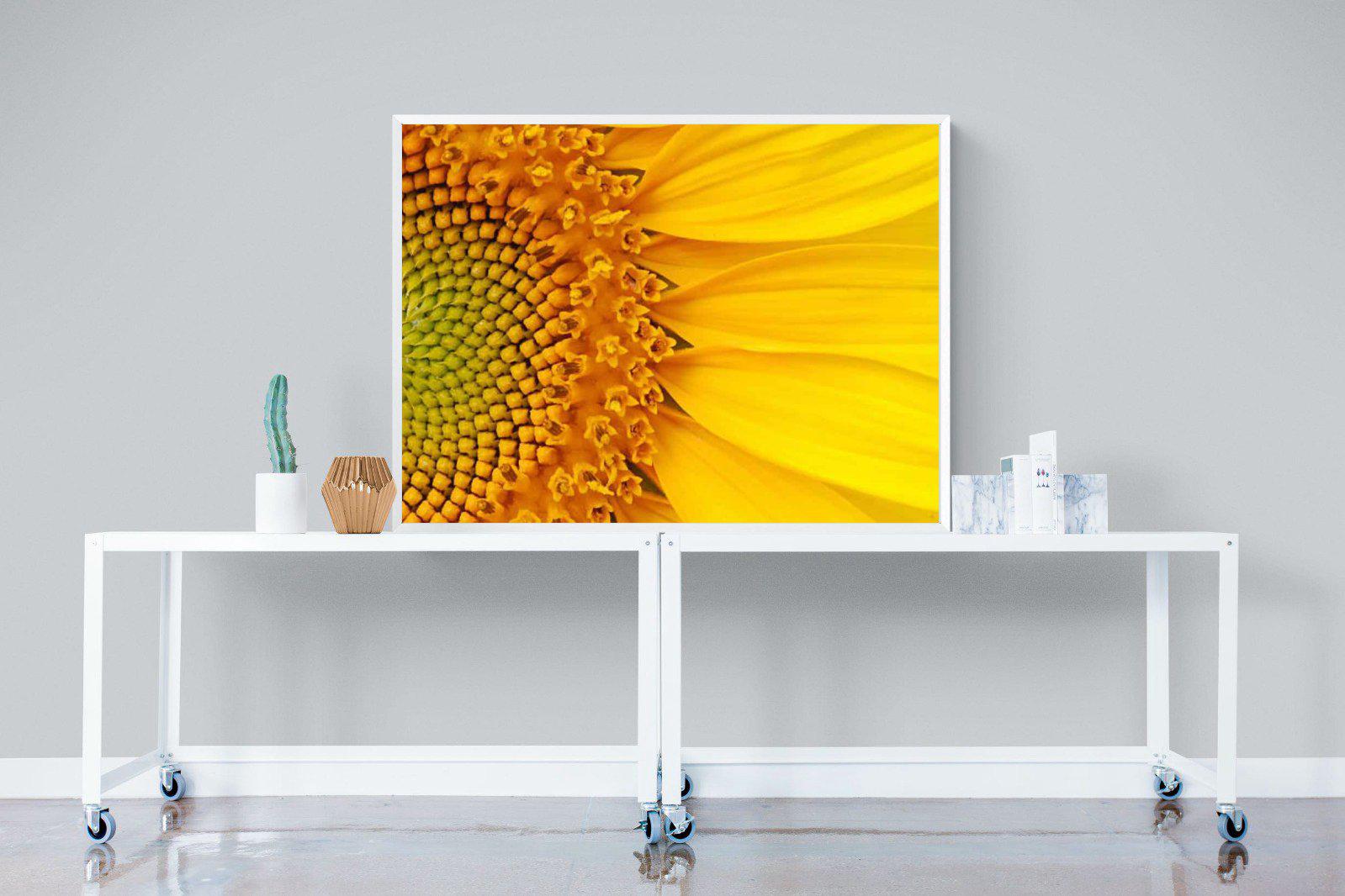 Radiant Sunflower-Wall_Art-120 x 90cm-Mounted Canvas-White-Pixalot