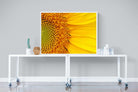 Radiant Sunflower-Wall_Art-120 x 90cm-Mounted Canvas-White-Pixalot