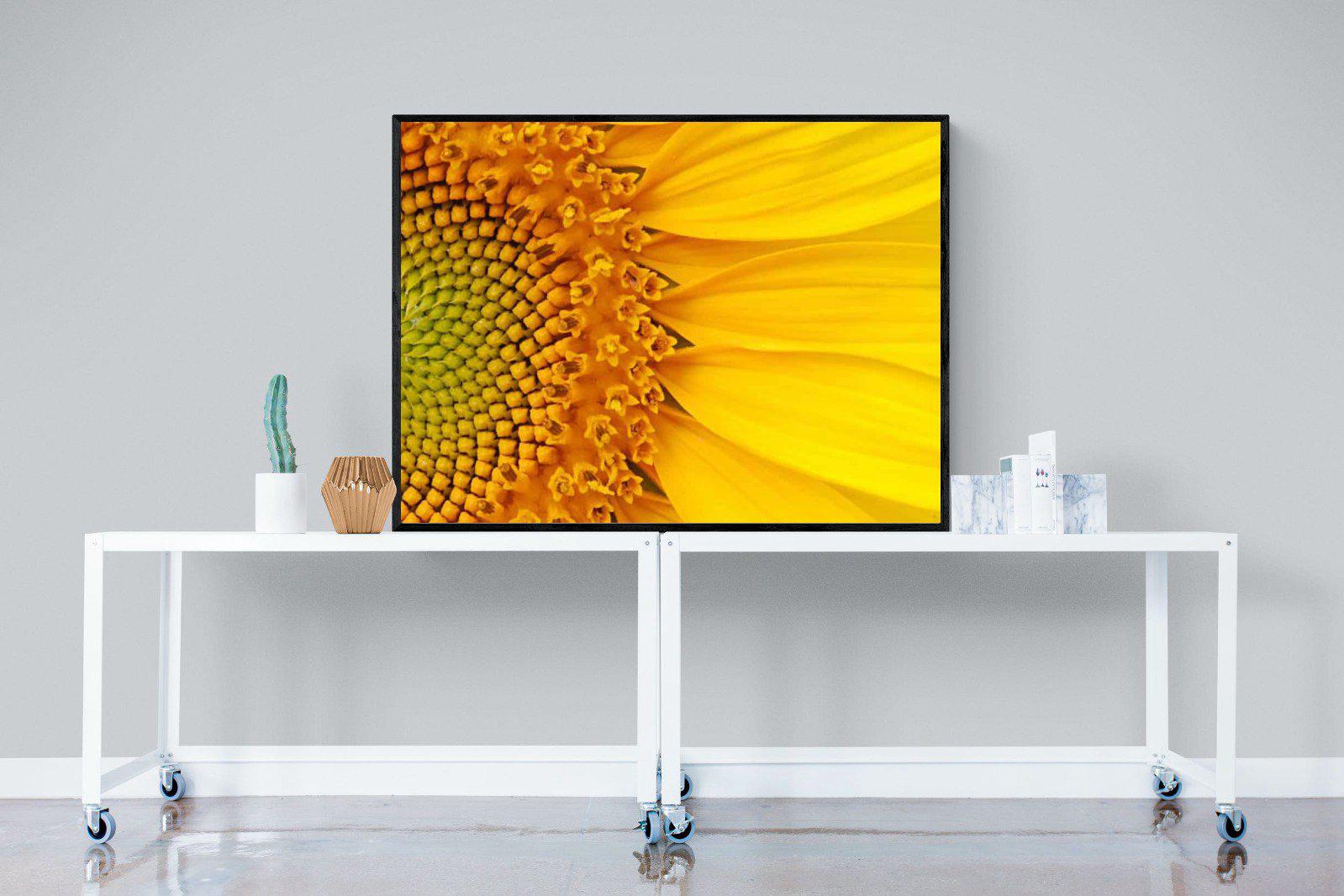 Radiant Sunflower-Wall_Art-120 x 90cm-Mounted Canvas-Black-Pixalot