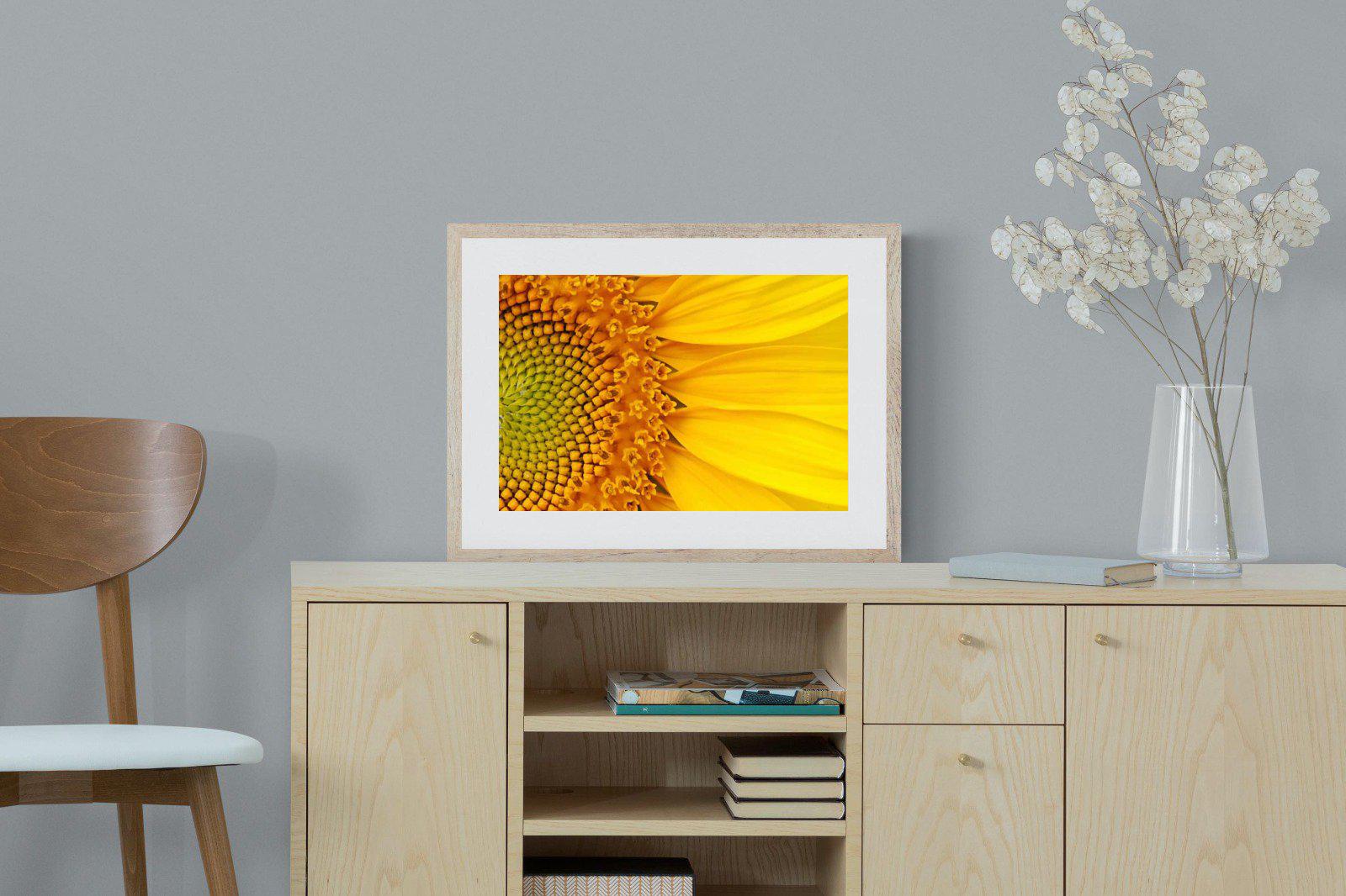 Radiant Sunflower-Wall_Art-60 x 45cm-Framed Print-Wood-Pixalot