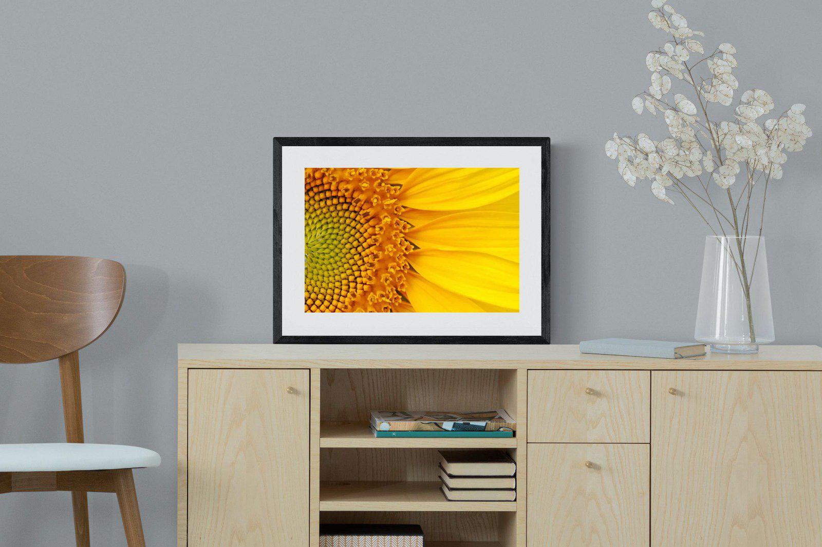 Radiant Sunflower-Wall_Art-60 x 45cm-Framed Print-Black-Pixalot