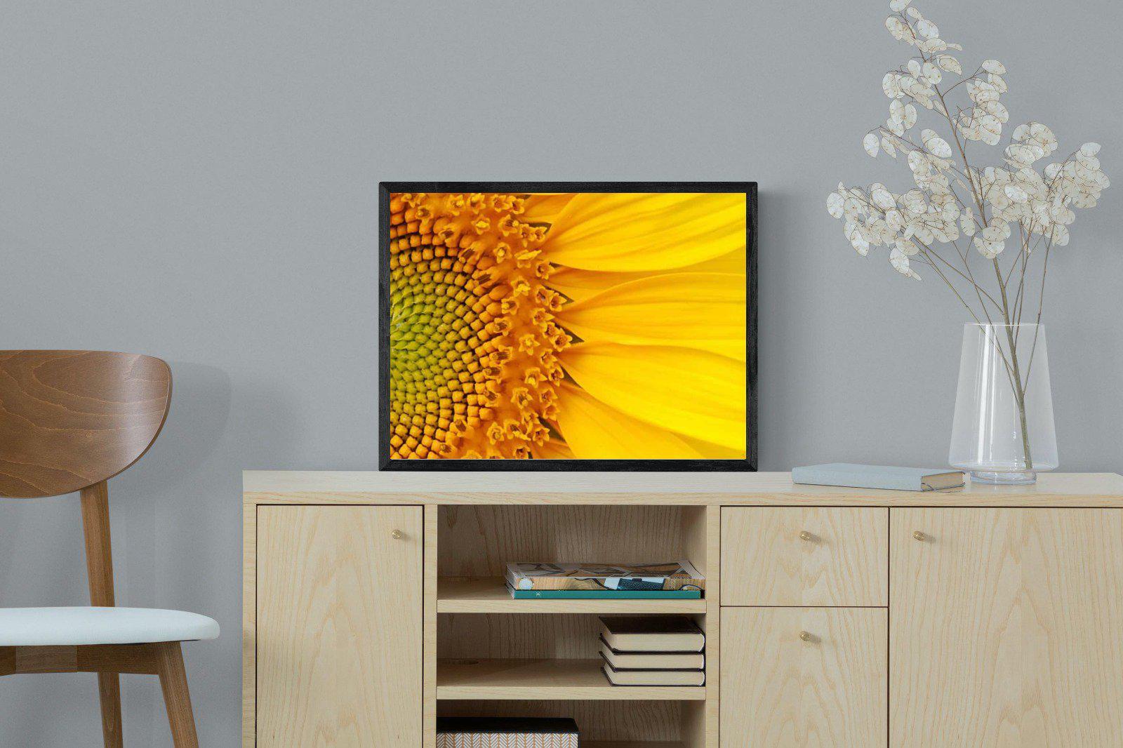 Radiant Sunflower-Wall_Art-60 x 45cm-Mounted Canvas-Black-Pixalot