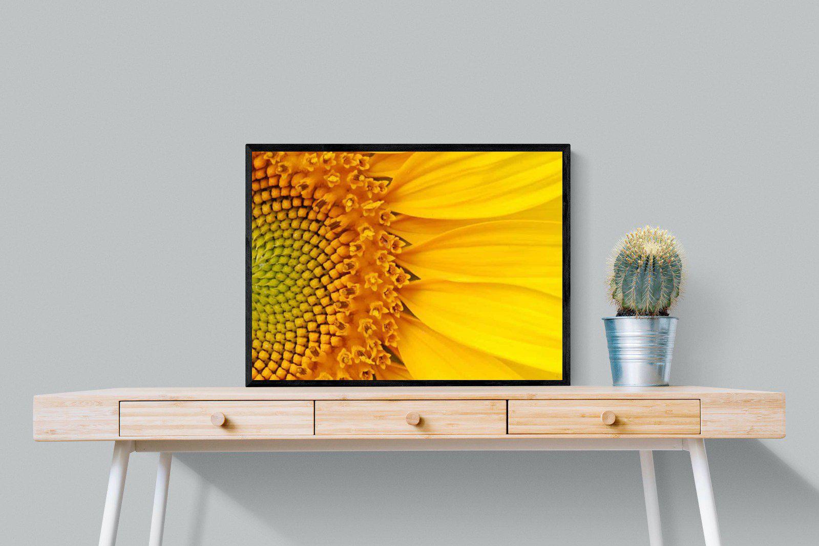 Radiant Sunflower-Wall_Art-80 x 60cm-Mounted Canvas-Black-Pixalot