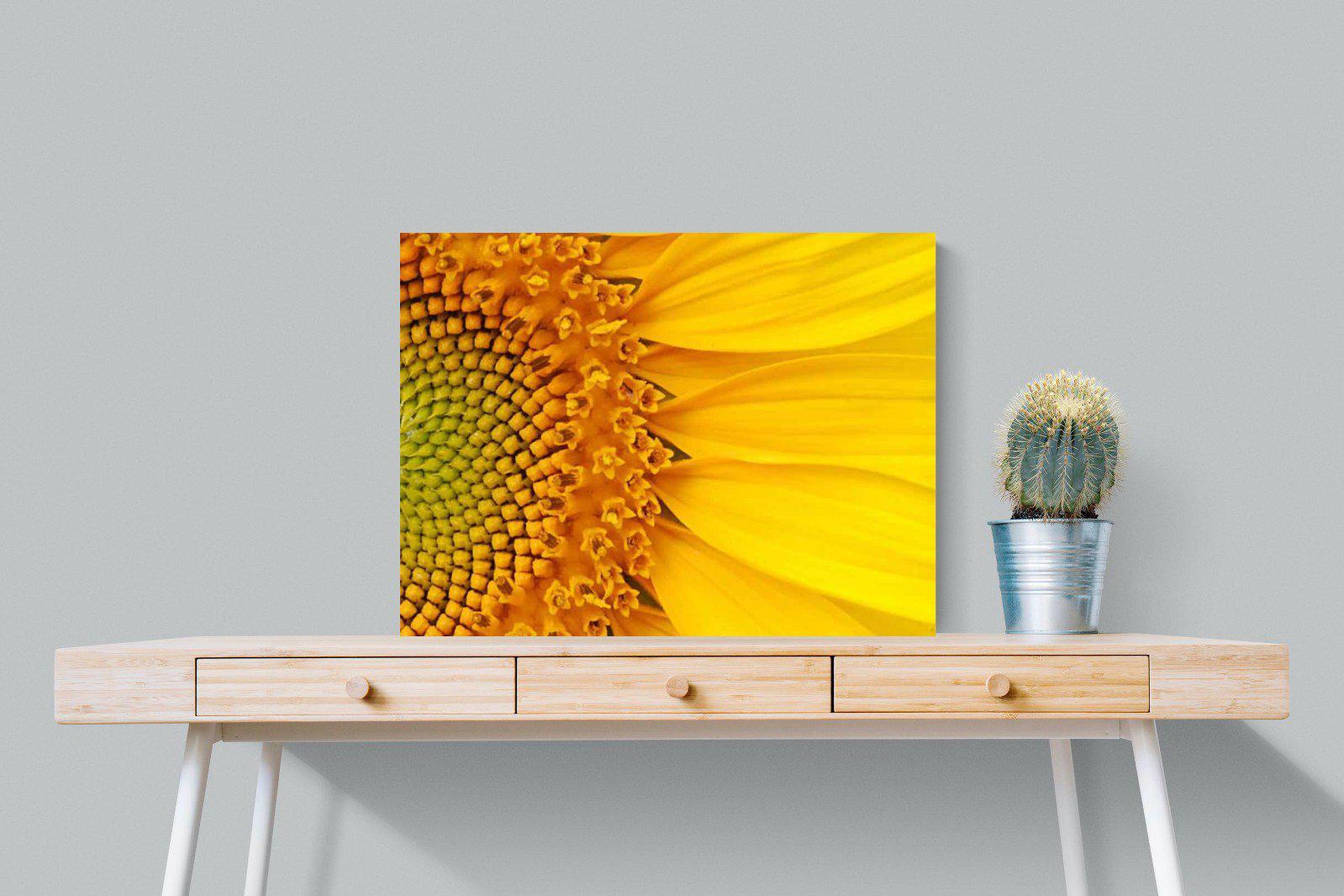 Radiant Sunflower-Wall_Art-80 x 60cm-Mounted Canvas-No Frame-Pixalot