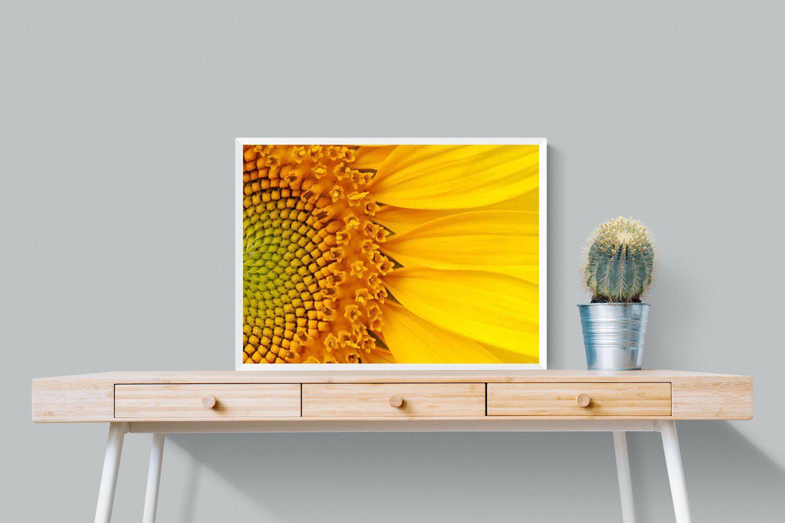 Radiant Sunflower-Wall_Art-80 x 60cm-Mounted Canvas-White-Pixalot