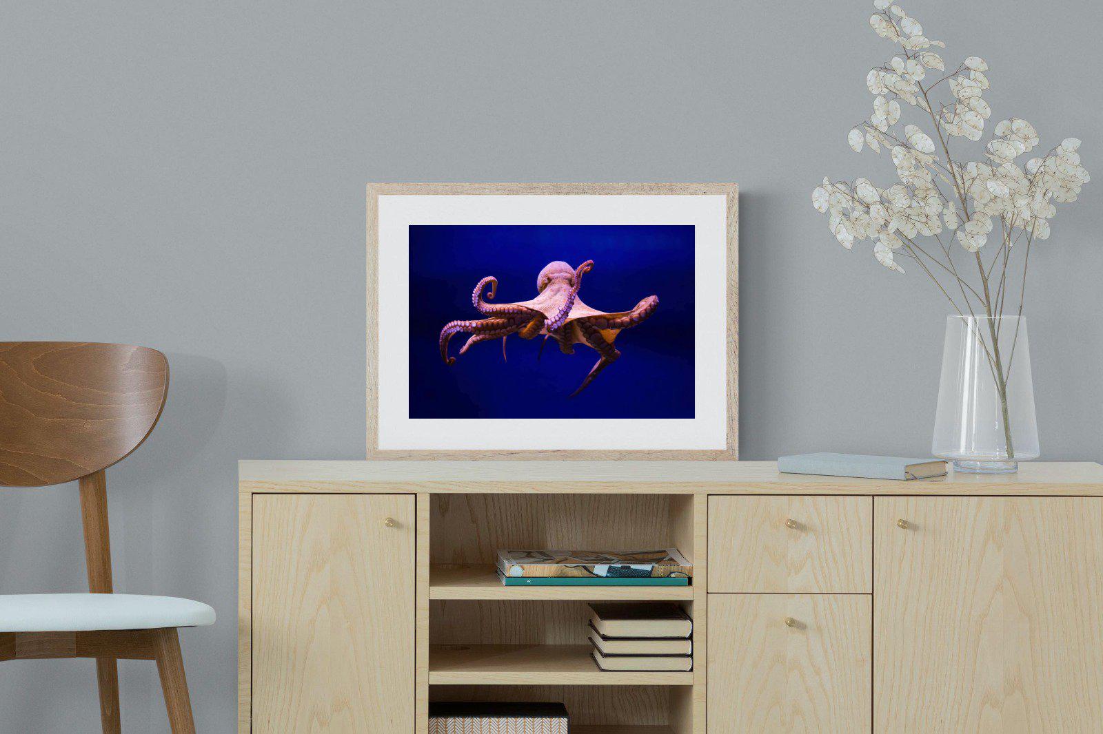 Red Octopus-Wall_Art-60 x 45cm-Framed Print-Wood-Pixalot