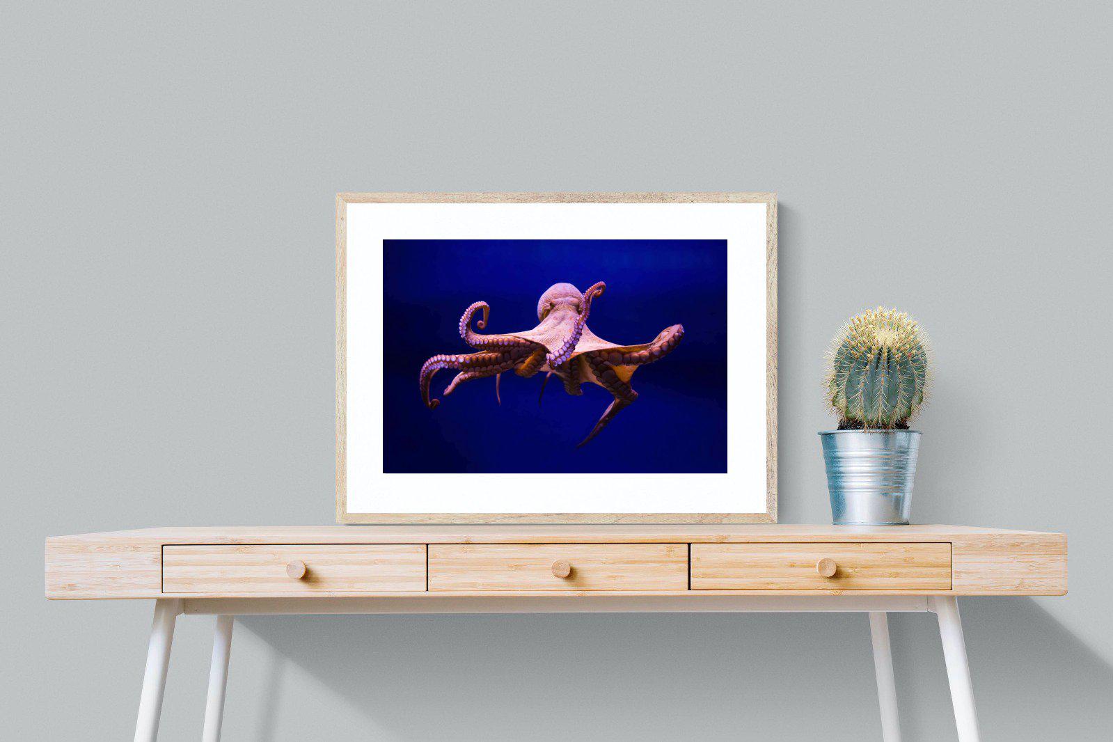 Red Octopus-Wall_Art-80 x 60cm-Framed Print-Wood-Pixalot