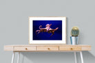Red Octopus-Wall_Art-80 x 60cm-Framed Print-Wood-Pixalot