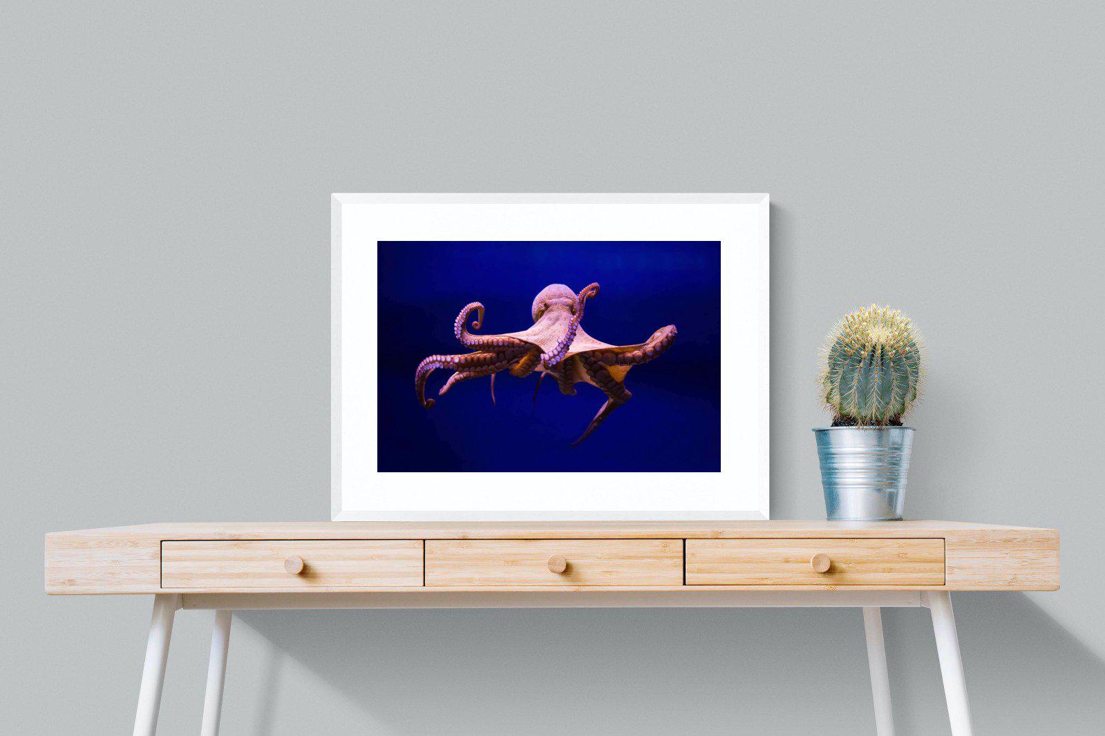Red Octopus-Wall_Art-80 x 60cm-Framed Print-White-Pixalot