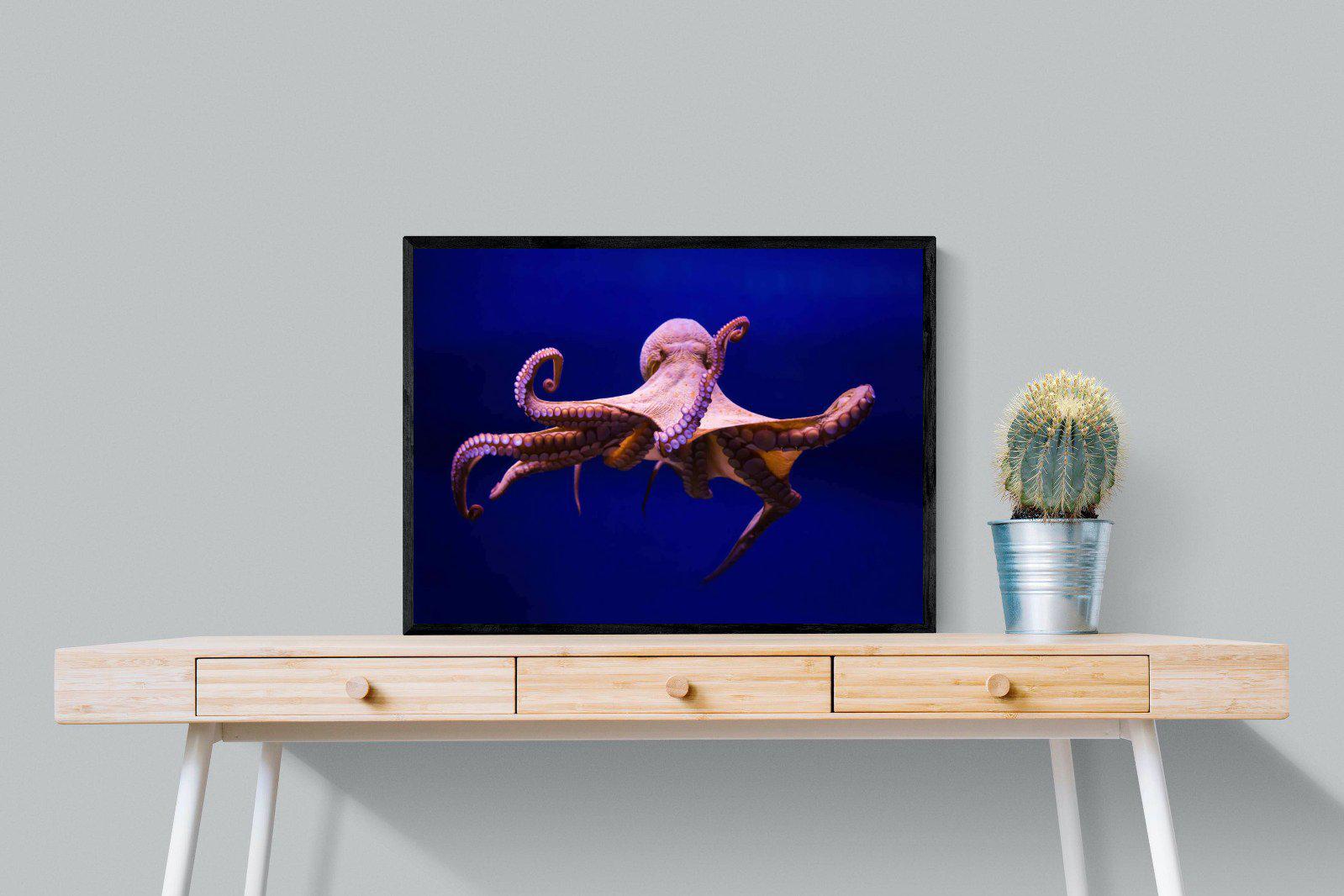 Red Octopus-Wall_Art-80 x 60cm-Mounted Canvas-Black-Pixalot