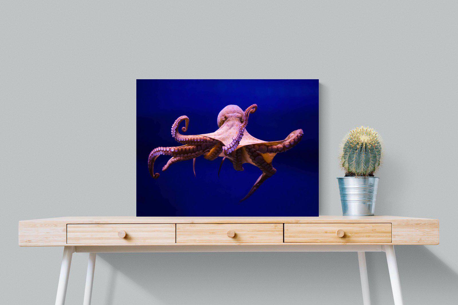 Red Octopus-Wall_Art-80 x 60cm-Mounted Canvas-No Frame-Pixalot
