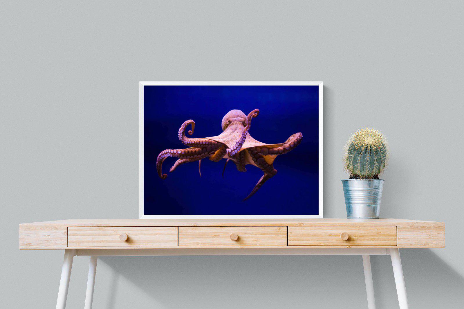 Red Octopus-Wall_Art-80 x 60cm-Mounted Canvas-White-Pixalot
