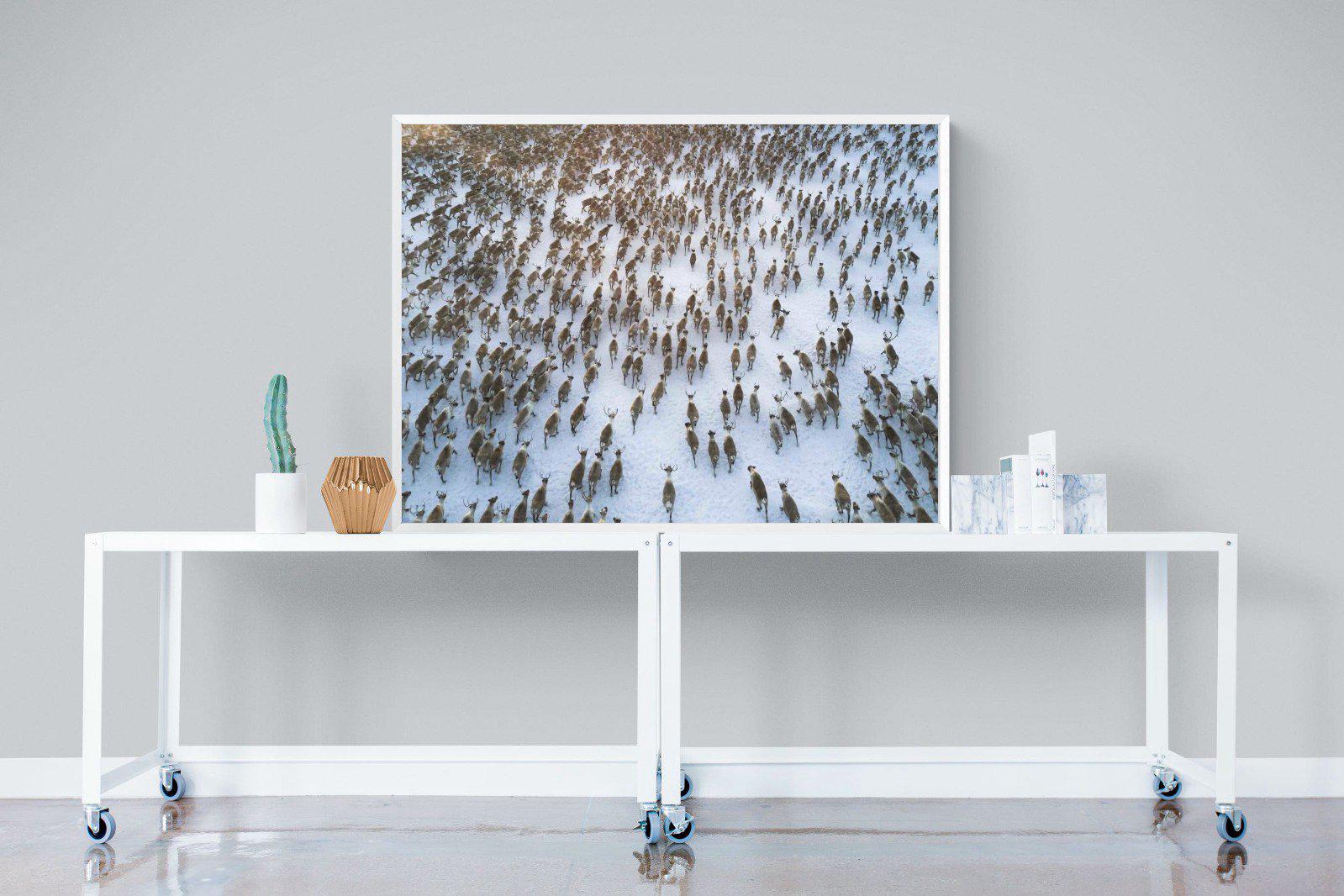 Reindeer Herd-Wall_Art-120 x 90cm-Mounted Canvas-White-Pixalot