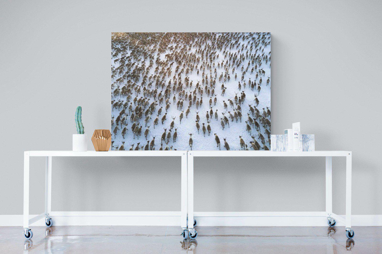 Reindeer Herd-Wall_Art-120 x 90cm-Mounted Canvas-No Frame-Pixalot