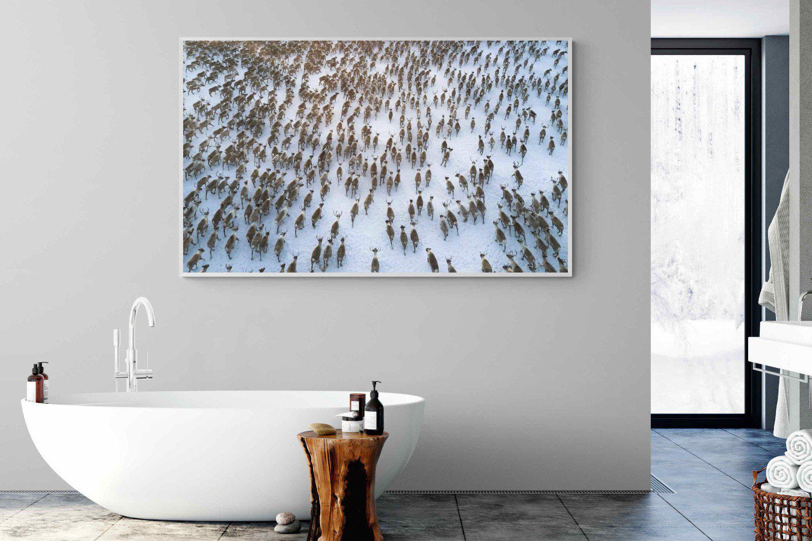 Reindeer Herd-Wall_Art-180 x 110cm-Mounted Canvas-White-Pixalot