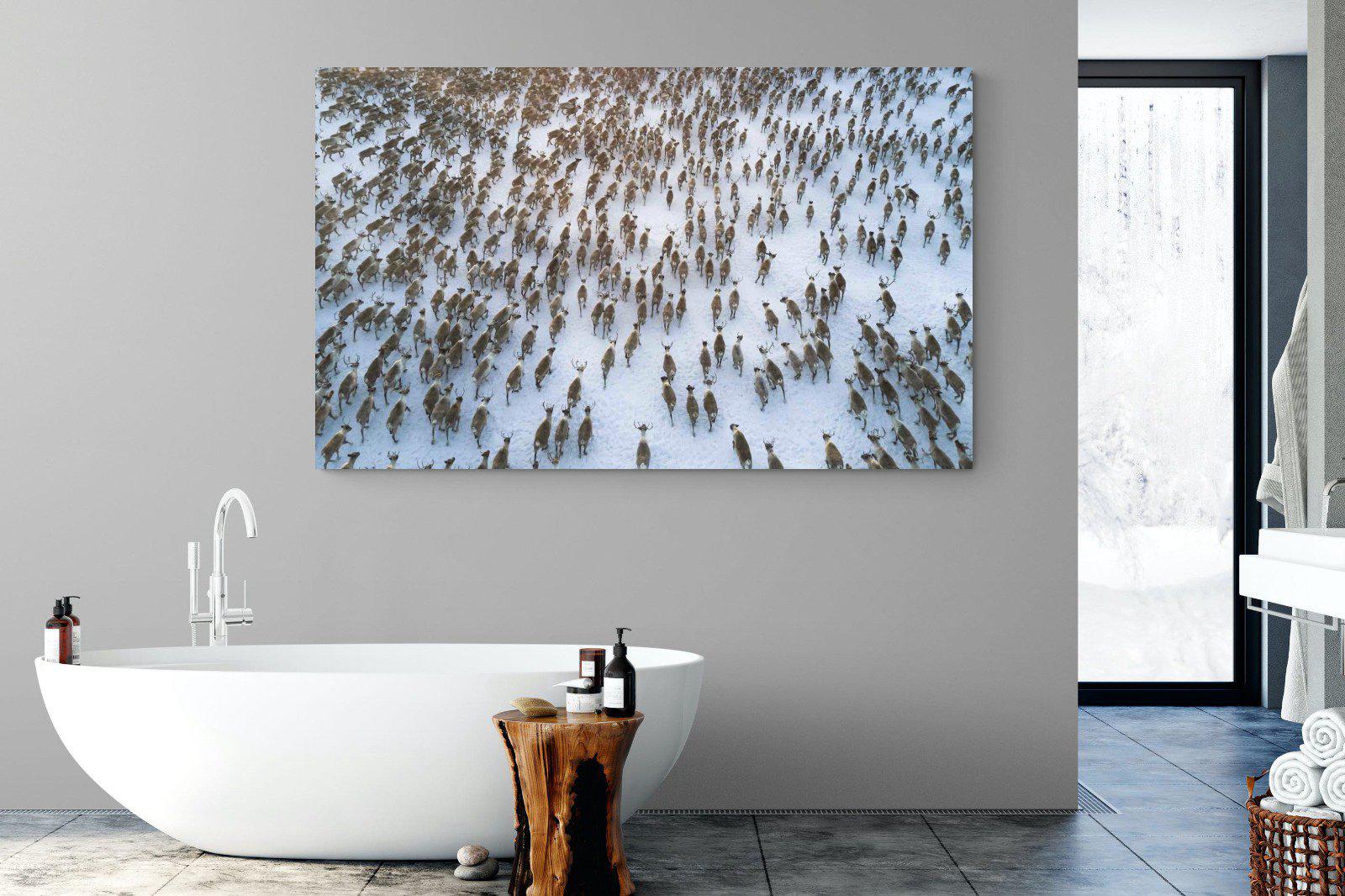 Reindeer Herd-Wall_Art-180 x 110cm-Mounted Canvas-No Frame-Pixalot