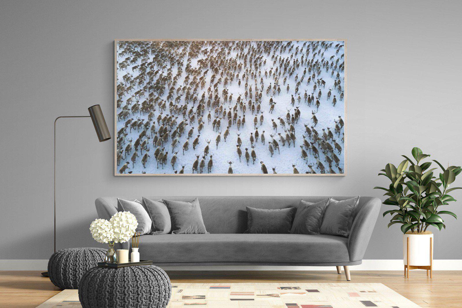 Reindeer Herd-Wall_Art-220 x 130cm-Mounted Canvas-Wood-Pixalot