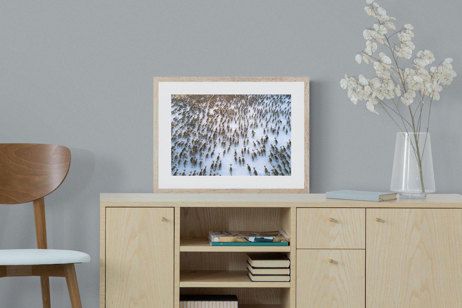 Reindeer Herd-Wall_Art-60 x 45cm-Framed Print-Wood-Pixalot