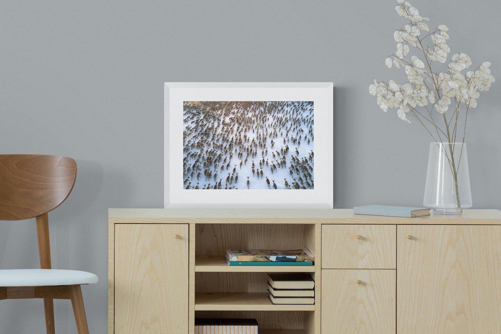 Reindeer Herd-Wall_Art-60 x 45cm-Framed Print-White-Pixalot